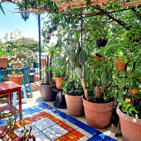 La Terraza Del Pochote 오아하카주 외부 사진