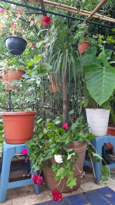 La Terraza Del Pochote 오아하카주 외부 사진