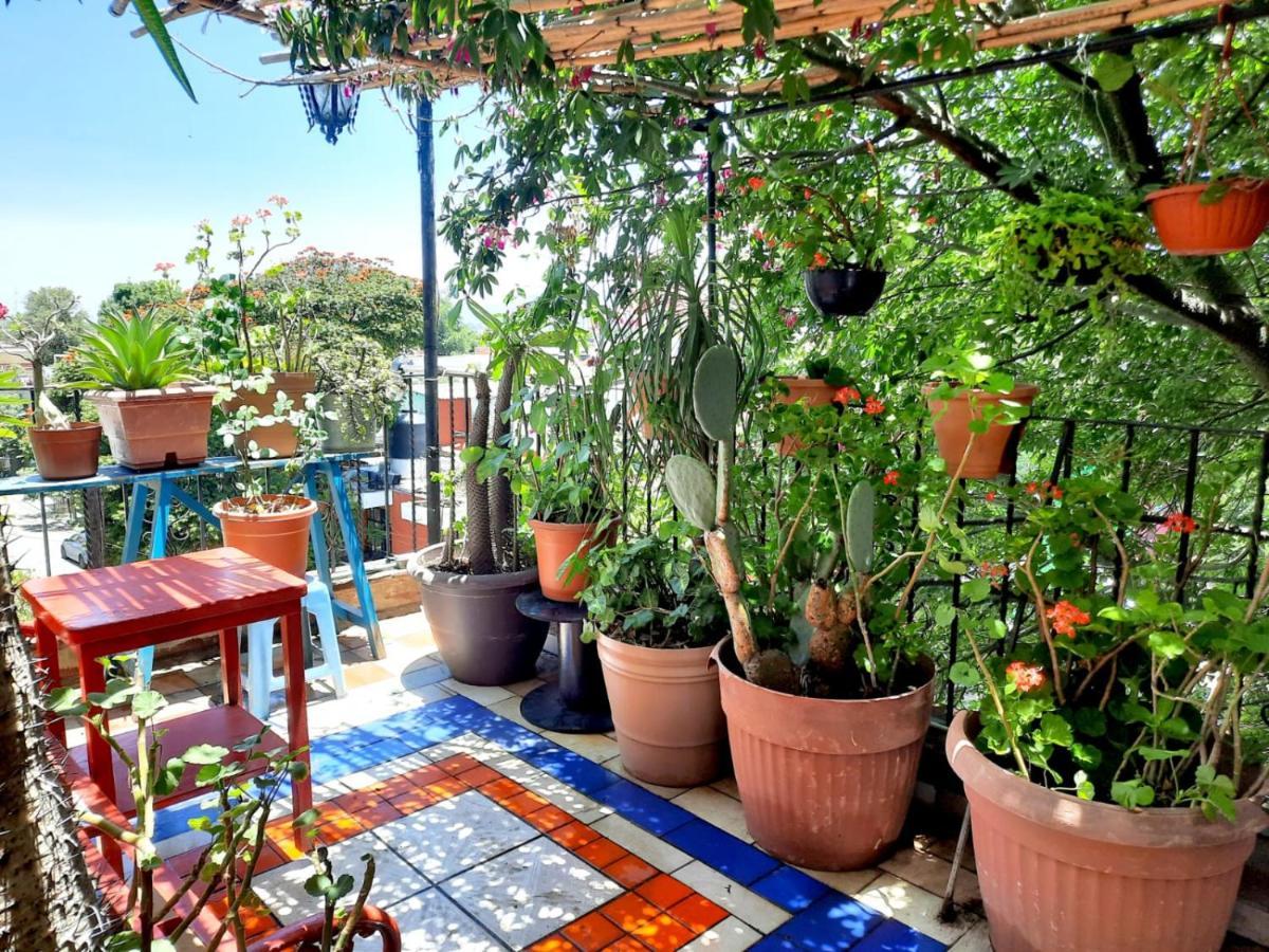 La Terraza Del Pochote 오아하카주 외부 사진